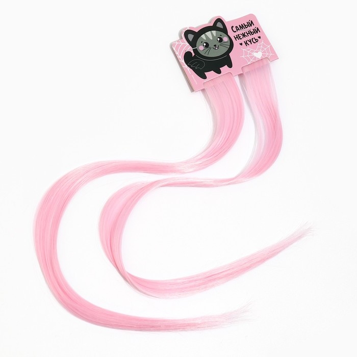 Заколка для волос, прядь &laquo;Нежный кусь&raquo;, 2 шт