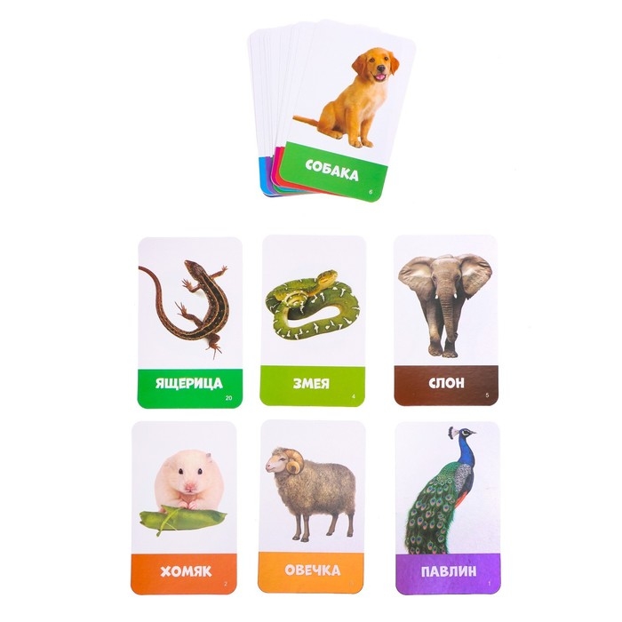 Интерактивный робот «Супер Бот», русское озвучивание, световые эффекты, цвет красный Интерактивный робот «Супер Бот», русское озвучивание, световые эффекты, цвет красный