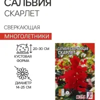 Семена цветов Сальвия сверкающая "Скарлет",  0,05 г