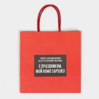 Пакет подарочный, упаковка, &laquo;Обезьяна&raquo;, 22 х 22 х 11 см