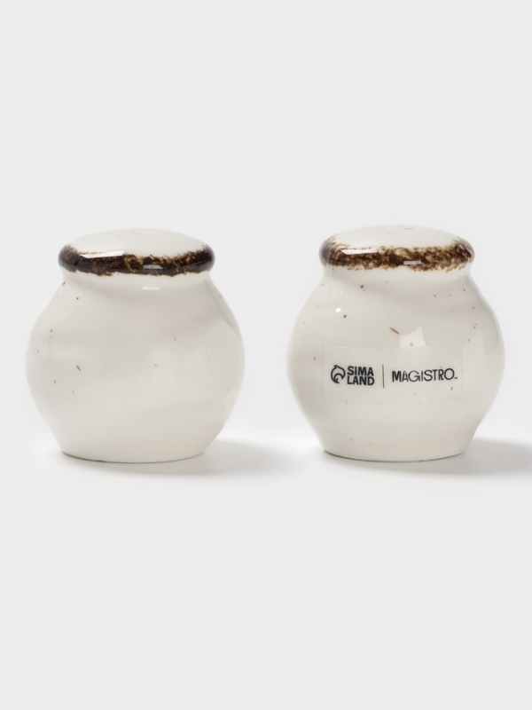 Набор для специй 2 шт Magistro "Alpine Frost" 5х6 см цвет белый, перечница, солонка