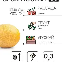 Семена Дыня "Колхозница 749/753", 0,3 г