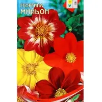 Семена цветов Георгина Миньон (смесь) 15 шт