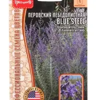 Семена цветов Перовския Blue Steel лебедолистная  3шт / НОВИНКА 12.29 г.