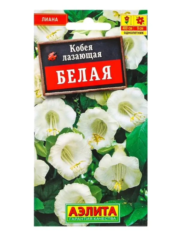 Семена цветов Кобея белая , Ц/П,0,45 г