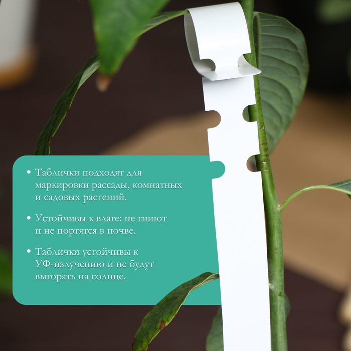 Бирки садовые для маркировки, 27 &times; 2 см, набор 20 шт., пластик, МИКС, Greengo
