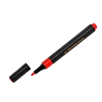 Набор маркеров акриловых 12 цветов в пластиковом пенале