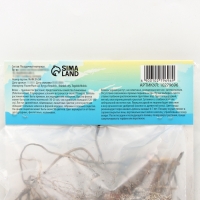 Флокс &laquo;Зенобия&raquo; корневище в пакете с торфогрунтом, р-р I, 2 шт.