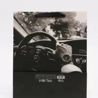 Пакет подарочный &laquo;Поздравляю&raquo;, M 25,5 &times; 30 &times; 9 см