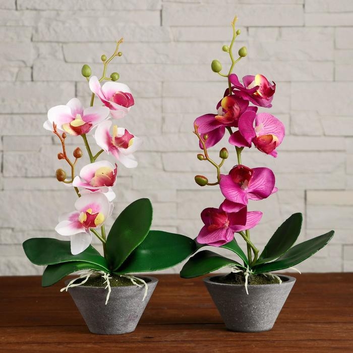 Композиция в горшочке "Орхидея" 10х28 см, микс