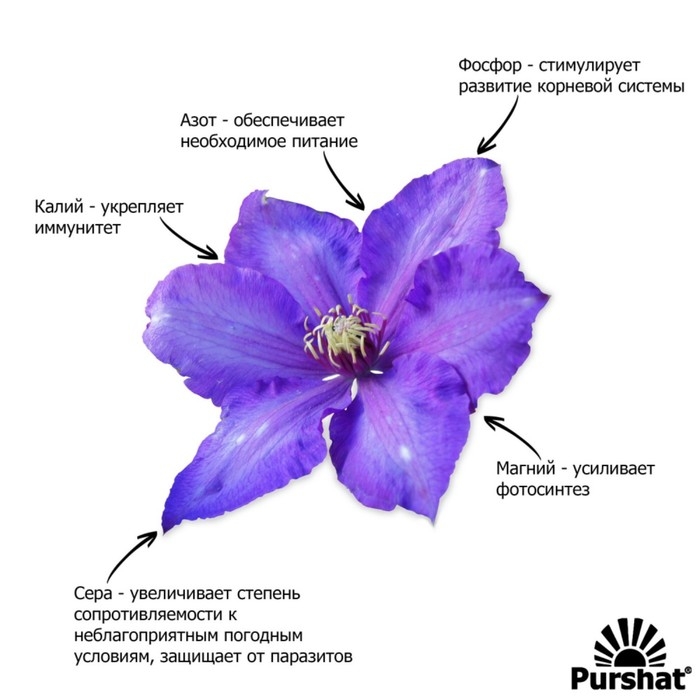 Пуршат-М водорастворимое средство для клематисов, 1кг