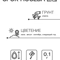 Семена  цветов Хризантема "Ариэль", Мн, 0,1 г