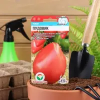 Семена Томат &laquo;Пудовик&raquo; среднеранний, детерминантный, высокорослый 20 шт., &laquo;Сибирский сад&raquo;