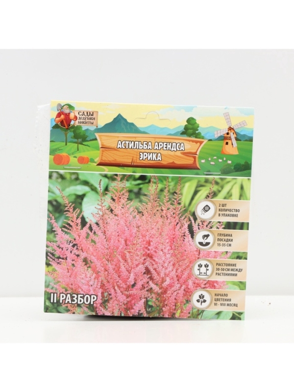 Астильба Арендса Erika многолетник, корневище в торфогрунте, р-р II, 2 шт.