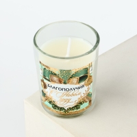 Набор новогодних свечей &laquo;Новый год: Благополучия в Новом году&raquo; 2 шт., аромат еловые шишки, 5х6х5 см