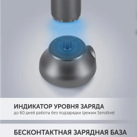 Электрическая зубная щетка PETB 0220 T