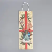 Пакет под бутылку &laquo;Почта&raquo;, 13 x 36 x 10 см