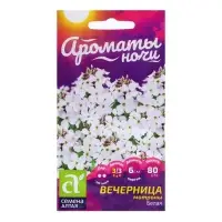 Семена Вечерница "Матроны Белая", ц/п,  0,3 гр.