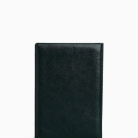 Обложка для паспорта &laquo;Россия&raquo;, зелёная