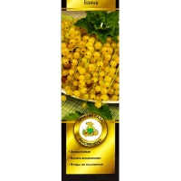 Смородина белая &laquo;Баяна&raquo;, саженец, туба, 1 шт.