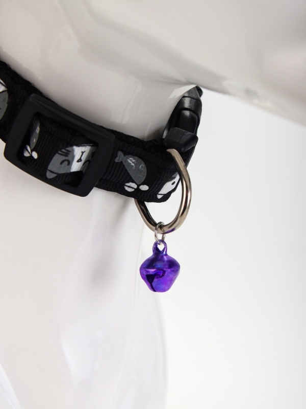 Ошейник "Котята", 40 х 1,5 см, черный