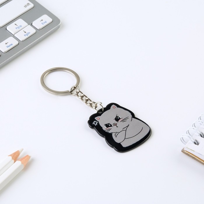 Брелок для ключей акриловый &laquo;Я вредный&raquo;, 7 х 12,5 см