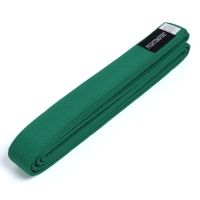 Пояс для единоборств Fight Empire 2,6 м, EXPERT, зеленый