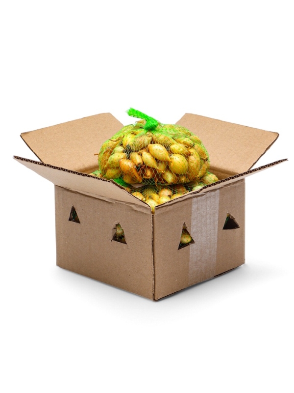 Лук севок Стурон , р-р 18-21, 0,25 кг, Весна 2025 Лук севок Стурон , р-р 18-21, 0,25 кг, Весна 2025