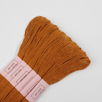 Набор ниток мулине №909, 8 &plusmn; 1 м, 6 шт, цвет светло-коричневый