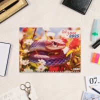 Календарь квартальный, трио "Символ года - 12" 2025 год, 73 х 29 см Календарь квартальный, трио "Символ года - 12" 2025 год, 73 х 29 см