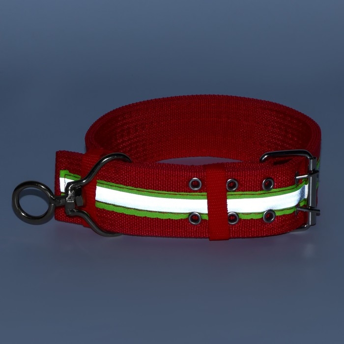 Ошейник четырехслойный светоотражающий с вертлюгом, 71 х 5 см, ОШ 55-65 см, красный