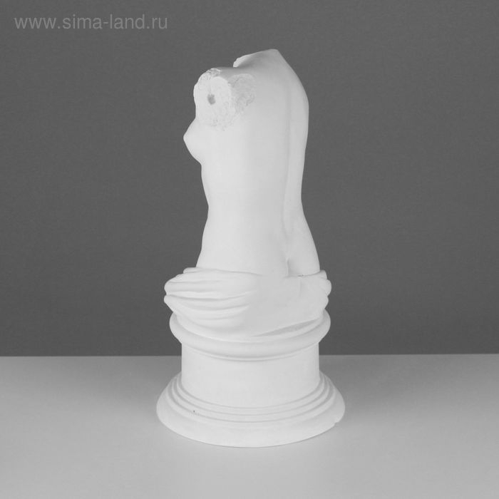 Гипсовая фигура Торс Венеры Милосской, 20 х 20 х 36 см