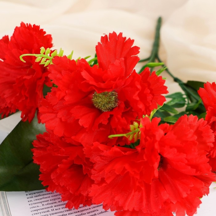 Букет "Гвоздика садовая галант" 7х29 см, микс