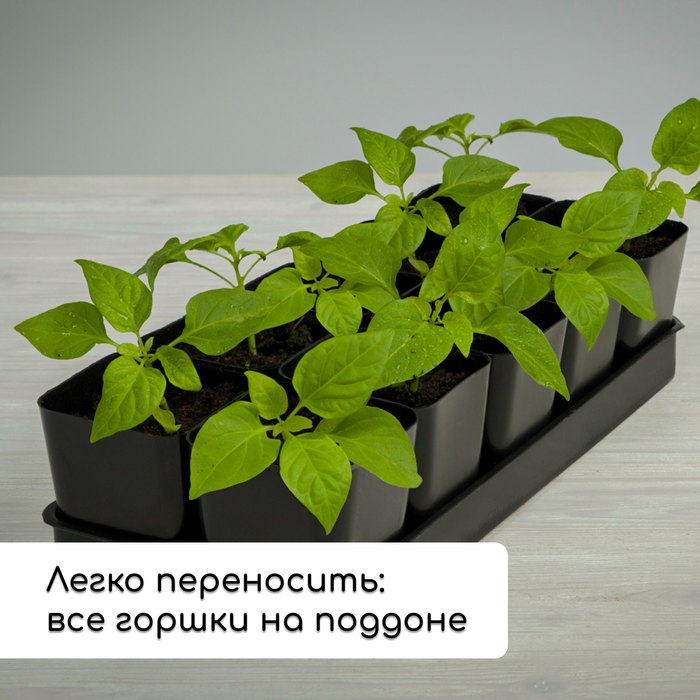 Набор для рассады: стаканы по 700 мл (10 шт.), поддон 44 &times; 18 см, чёрный, Greengo