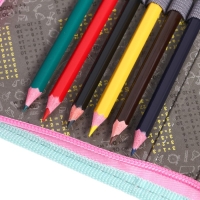 Пенал 1 секция, 115 х 205 мм, с наполнением 16 предметов, Calligrata "Девочка" ламинированный картон, 30П26/set Пенал 1 секция, 115 х 205 мм, с наполнением 16 предметов, Calligrata "Девочка" ламинированный картон, 30П26/set