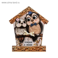 Ключница настенная &laquo;Гармония и любовь&raquo;, совы, 12,7 х 14,5 см.
