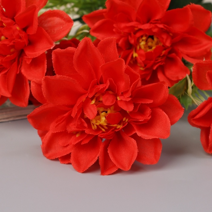 Букет Букет "Бегония ампель" 26 см, микс