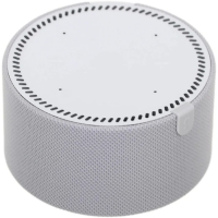 Умная колонка "Новая Яндекс Станция Мини" (YNDX-00020G), голосовой помощник Алиса,10Вт, с часами, серая