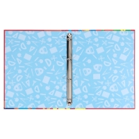 Папка школьная на кольцах &laquo;Портфолио ученика начальной школы&raquo;, без разделителей, 24,5 х 32 см.