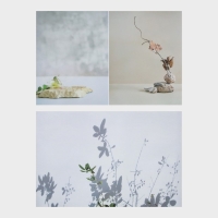 Фотофон двусторонний бумага 300 гр "Изящные растения" 57х87 см Фотофон двусторонний бумага 300 гр "Изящные растения" 57х87 см