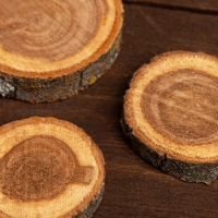Набор спилов дуба 3шт 3х5х1см