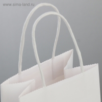 Пакет подарочный крафт, упаковка, &laquo;Мечтай!&raquo;, 12 х 21 х 9 см