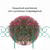 Ограждение декоративное, 55 &times; 300 см, 5 секций, металл, зелёное, &laquo;Садовод&raquo;