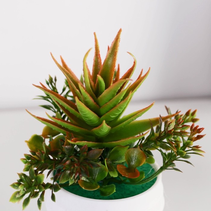 Бонсай в горшке Бонсай в горшке "Цветок рео" 5,5х11 см, микс