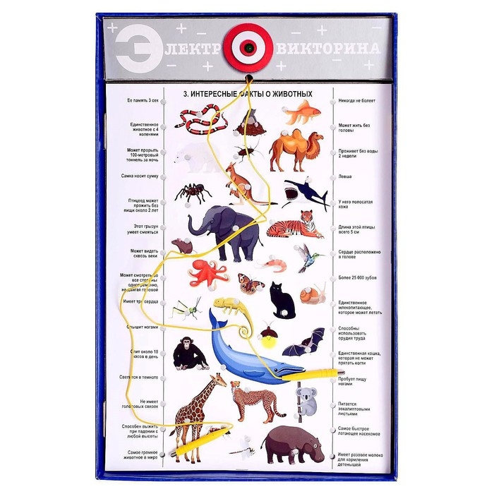 Электровикторина &laquo;Размышляй-ка&raquo;