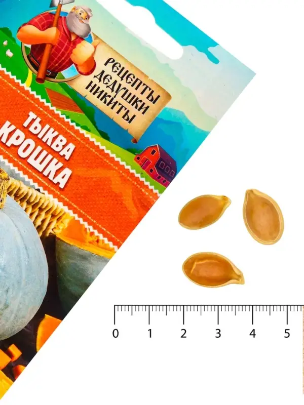 Семена Тыква "Крошка", 1 г