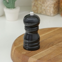 Мельница для специй Доляна &laquo;Краски&raquo;, 11 см, цвет чёрный