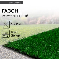 Газон искусственный, ворс 30 мм, 1 &times; 2 м, зелёный, Greengo