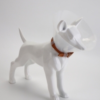 Ветеринарный воротник с креплением на ошейник, высота 10 см (без ошейника)