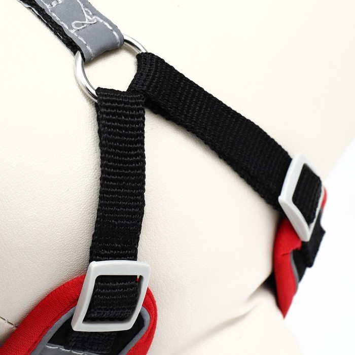 Комплект Sport+, S, поводок 120 x1 ,5 см, ОШ 39-41 см, ОГ 44-48 см, вес животного 7-13 кг, чёрный 9 Комплект Sport+, S, поводок 120 x1 ,5 см, ОШ 39-41 см, ОГ 44-48 см, вес животного 7-13 кг, чёрный 9